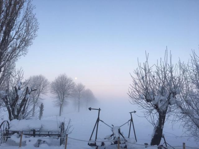 Agriturismo Il Capitolo Carpaneto Piacentino Bagian luar foto
